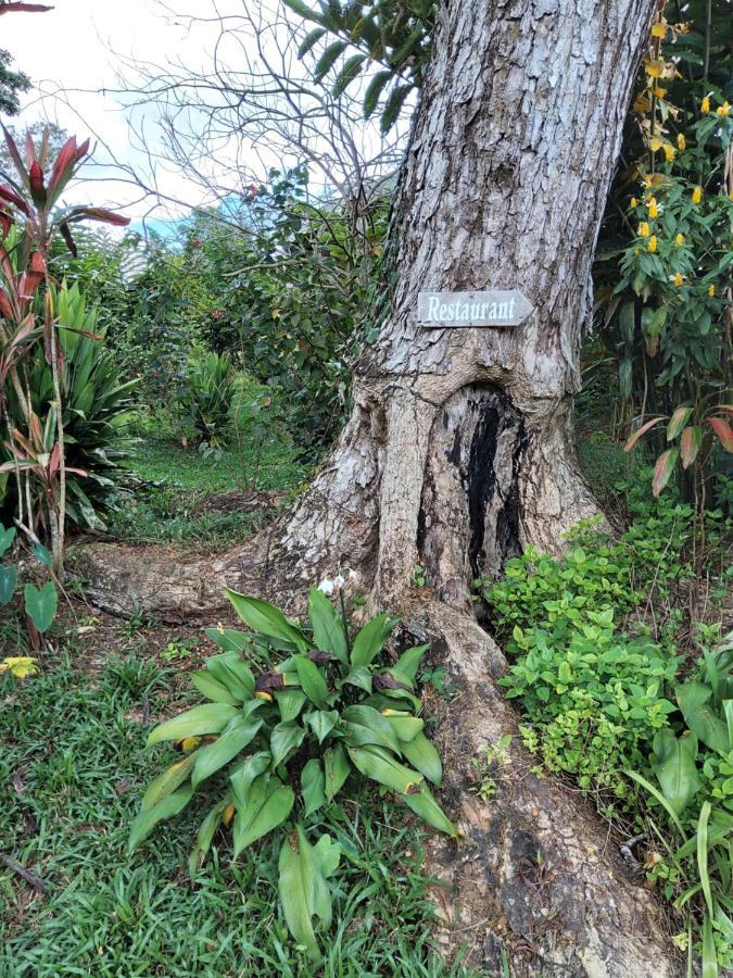 Forest Garden Residence Bilar المظهر الخارجي الصورة